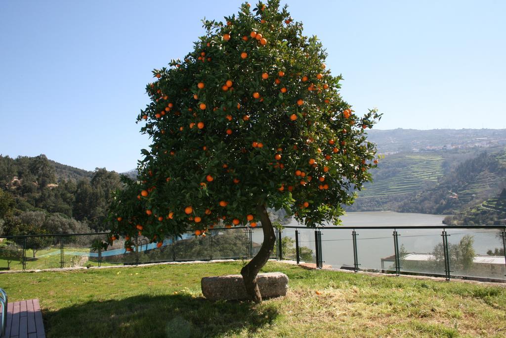 Quinta Das Quintas&Spa Baião Exterior foto