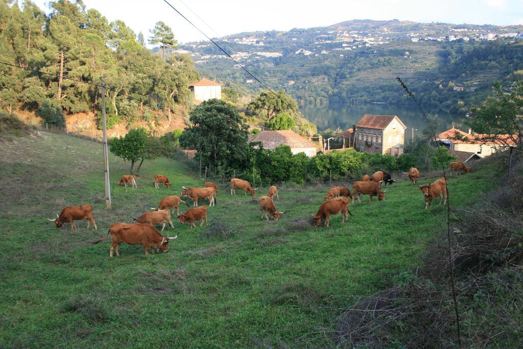 Quinta Das Quintas&Spa Baião Exterior foto